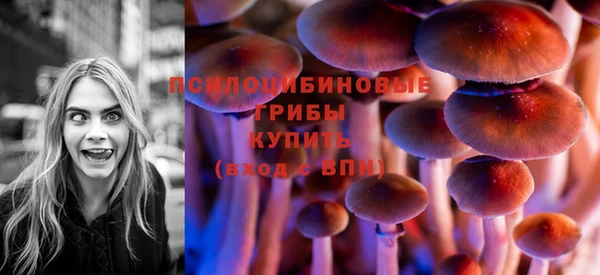 Альфа ПВП Вязьма