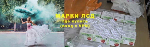 PSILOCYBIN Вяземский