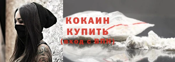 PSILOCYBIN Вяземский