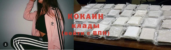 PSILOCYBIN Вяземский