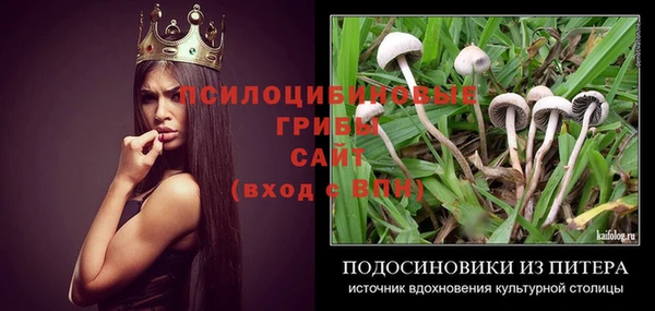 Альфа ПВП Вязьма