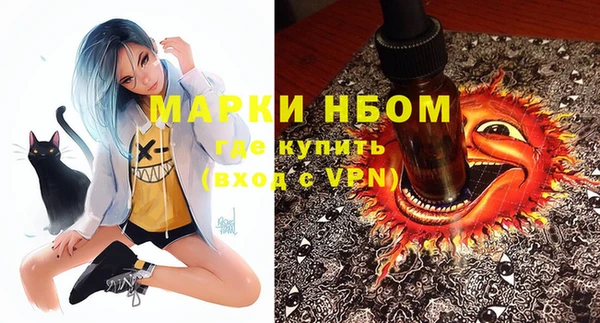 PSILOCYBIN Вяземский