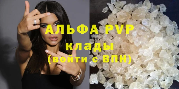 PSILOCYBIN Вяземский