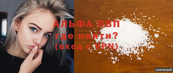PSILOCYBIN Вяземский