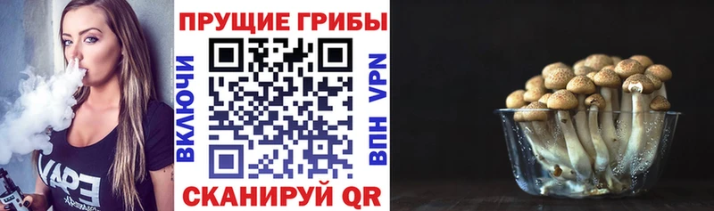 Галлюциногенные грибы GOLDEN TEACHER  дарк нет наркотические препараты  Чистополь 